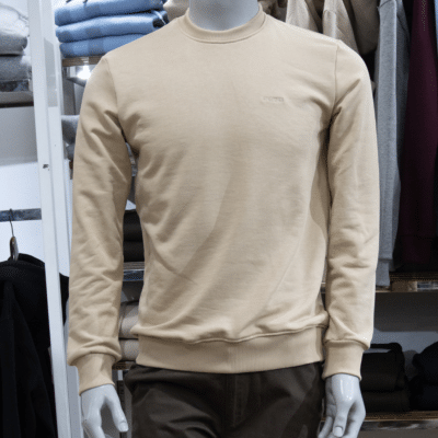 Pull homme beige- evasion