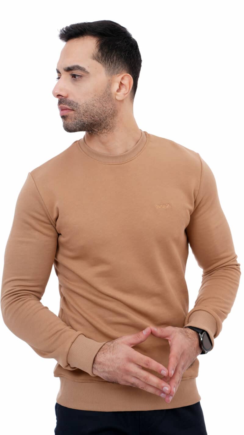 Pull homme camel-evasion
